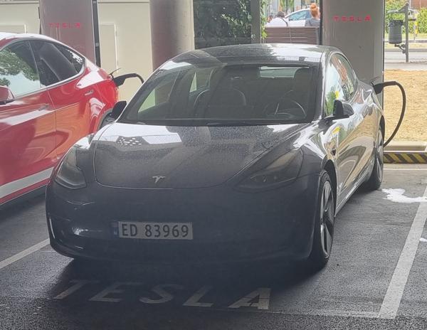 Norway spotted in Koper, Slovenia. ED = Electric vehicles. Photo taken on 26.07.2025.